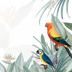 Parrots - comprar online