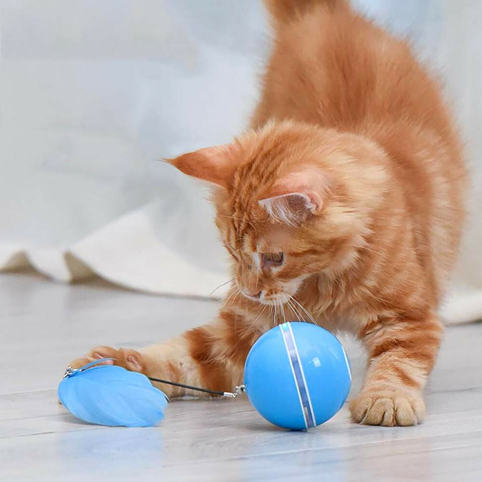 Brinquedo para Gato Bola de Brinquedo com Luz Led Rotação