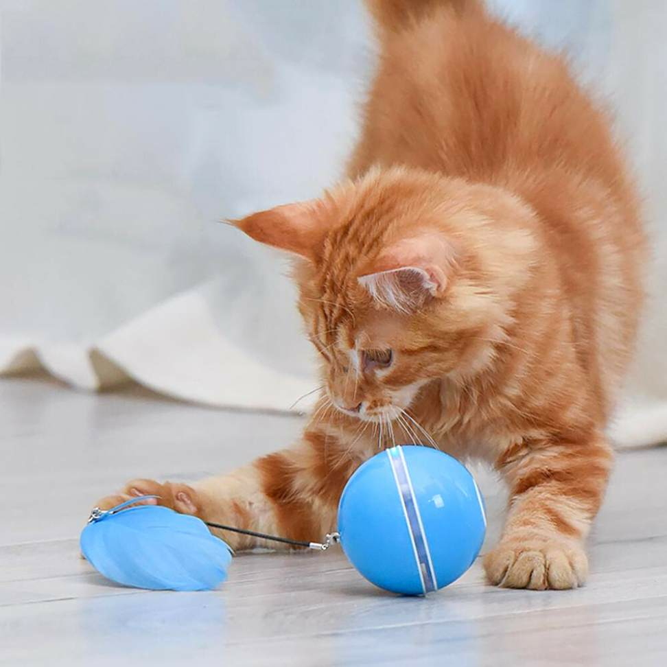 Bolas de brinquedo para gatos, brinquedo inteligente interativo, bolas  giratórias de 360 graus, recarregáveis por USB, bola automática com luz de  LED para exercícios de entretenimento de gatos e gatos