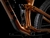 Trek Top Fuel 9.8 XT en internet