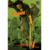 Vagabond 4 | VIZBIG Edition