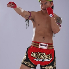 Shorts Muay Thai Twins Special Boxe Tailandês - loja online