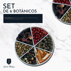 KIT GIN HERACLITO LONDON DRY+COPAS+BOTANICOS+CUCHARA en internet