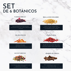 KIT GIN LONDON DRY + COPA + BOTÁNICOS + CUCHARA - tienda online