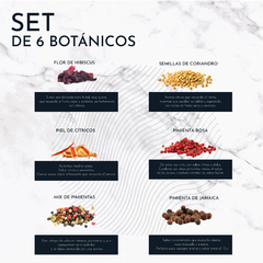 COMBO GIN HERACLITO MACEDONIO + SET DE 6 BOTÁNICOS - tienda online
