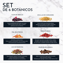 COMBO 2 GIN HERACLITO LONDON DRY + 2 SET DE 6 BOTÁNICOS - Alexi Matto