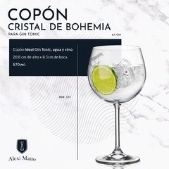 KIT GIN MACEDONIO + COPA + BOTANICOS + CUCHARA