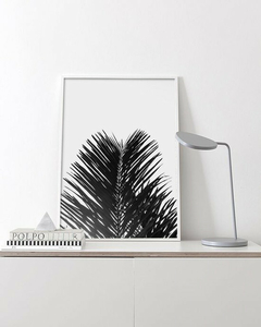 palmeira pb - comprar online