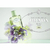 Les Infusion de Prada Milano Iris Prada - Perfume Feminino - Eau de Parfum - Bloss Perfumaria