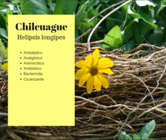 Spray Chilcuague - comprar en línea
