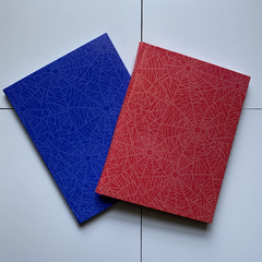 PROMO 24 Cuadernos Araña Tapa Dura 96 hojas rayadas - Editorial Ruy díaz