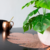 2 Manteles Plantone Cobre