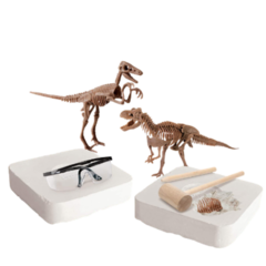 Kit de excavación de fósiles de dinosaurios en internet