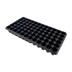 ALMACIGO GERMINACION - comprar online