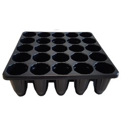 ALMACIGO FORESTAL - comprar online