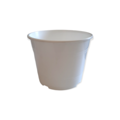 ROCIO TA PLASTIC - comprar online
