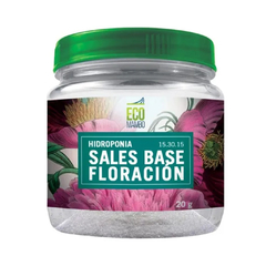 FLORACION HIDROPONIA ECOMAMBO