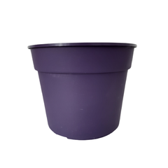 COMUN MATRI - comprar online