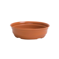 Imagen de BONSAI REDONDO TA PLASTIC