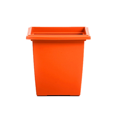 Imagen de PIRAMIDAL TA PLASTIC