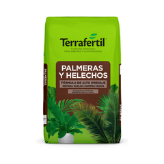 PALMERAS Y HELECHOS TERRAFERTIL