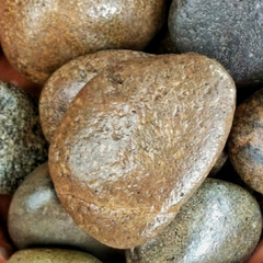 PIEDRA RIO GRANDE PLATILLO