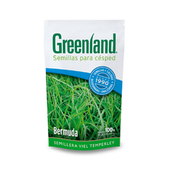 SEMILLAS DE CESPED BERMUDA GREENLAND
