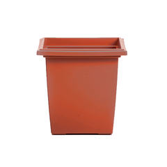 PIRAMIDAL TA PLASTIC - comprar online