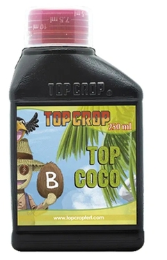 TOP COCO B TOP CROP - comprar online