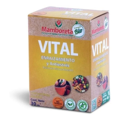 VITAL MAMBORETA