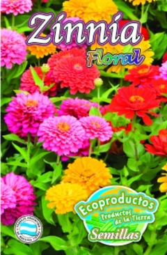 SEMILLAS FLORALES ECOPRODUCTOS - Balumba Mayorista