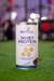 WHEY PROTEIN CONCENTRADO 900G na internet