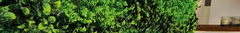 Banner de la categoría Jardines verticales artificiales