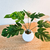 Ramo 8 hojas planta artificial Costilla de Adan 30cm - comprar online