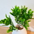Ramo de planta artificial Buxus 28 cm - comprar online