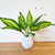 Ramo planta artificial Croton verde variegado 35cm - tienda online