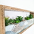 Cactario artificial rectangular 53x20 + plantas suculentas - Wall it!
