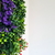 Wallgreen 20x54 Ensenada jardin de pared artificial en internet