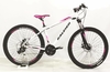 Raleigh | Mojave 2.0 D