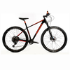 Raleigh | Mojave 9.5