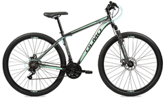Olmo | Wish 290