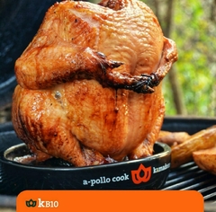 A Pollo - comprar online