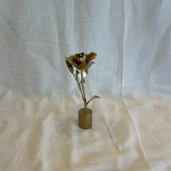 APAGA VELA ROSE