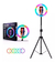 Aro Anillo Selfie Luz Led Rgb Tripode Ring Light Usb Celular