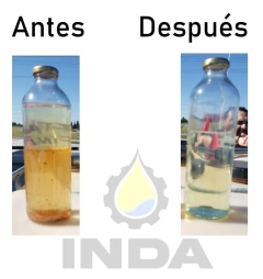 IN-1616 en internet