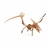 Velociraptor Vs Pterodáctilo Kit - Let them be Kids