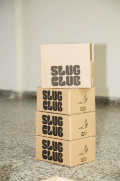 FLORES DE SAUCO BOX x 12 - Slug Club Kombucha