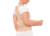 Espaldera Alta Ballenada con Faja - comprar online
