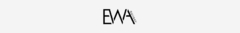 Banner da categoria Ewa Guitars