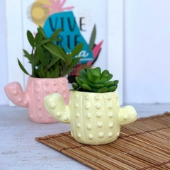 Maceta cactus color pastel